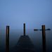 Aaron Rieseberg - Facebook