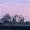 aaronrigney00 - @aaronrigney00 - TikTok