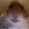aarongrimson - @aarongrimson - TikTok