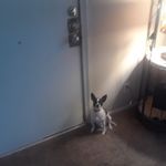 aaronrippy - @aaronrippy8984 - Instagram