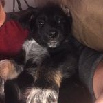 @aaron_risner - Instagram