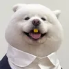 𝓐𝓪𝓻𝓸𝓷 - @aaron_masteraccount - TikTok