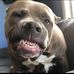 Aaron Rittmaier - Facebook