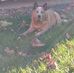 Aaron Robinett - Facebook