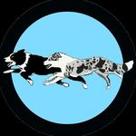 Aaron Robinson - @mycrazycollies - Instagram
