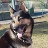 Aaron Rocca7 - @aaronrocca1964 - TikTok
