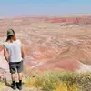 Aaron Rockey275 - @rockeyroads5534 - TikTok