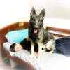 Aaronr005 - @aaronrod005 - TikTok