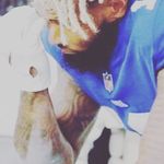 Aaron Rodarte - @aaron_rodarte13 - Instagram