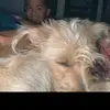 Aaron Rodelo - @aaron.rodelo6 - TikTok