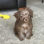 Aaron J Rodino - @aaronrodino - Instagram