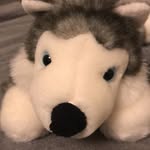 Aaron Rodricks - @aaron_rodricks_official - Instagram