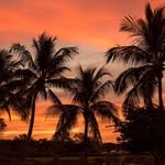Aaron Roeth - @arptours - Instagram