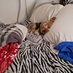 Aaron Roettger - @roettgeraaron - Instagram