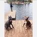 Aaron Rohde - Facebook