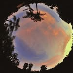 1234 - @aaronrolfmueller - Instagram