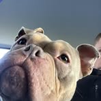 Aaron Rolfe - Facebook