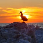 Aaron Rolfe - @aaronrolfe48827 - Instagram