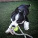 Aaron Rolle - Facebook