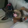 Aaron - @aaronrollers - TikTok