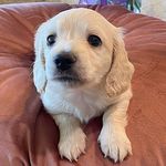 Aaron Rolston - @rolstonaaron - Instagram