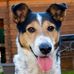 Aaron Bloos Romanowski - Facebook