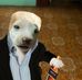 Aaron Nicolas Suarez Romero - Facebook