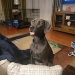 Aaron Rood - Facebook