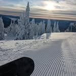 Aaron Roos - @aaronmroos - Instagram