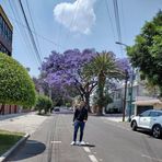 Aaron Rosado - Facebook