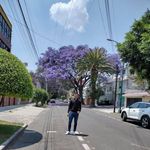 Aaron Rosado - @rosado2001 - Instagram