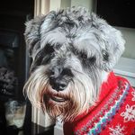 aaron rossiter - @azzer114 - Instagram