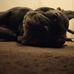 Arron Rossiter - Facebook