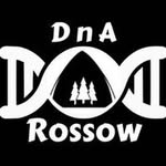 Dane N Aaron Rossow - @dna_rossow - Instagram