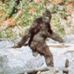 Aaron Rubinstein - Facebook