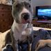 Aaron Ryder - Facebook