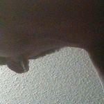 Aaron Saffell - @saffellaaron - Instagram