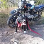 Aaron Salomon Merlo Lopez - @aaronsalomonmerlo - Instagram