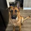 aaron.samples7 - @aaron.samples7 - TikTok