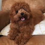 Aaron Savage - @mudslinger85 - Instagram