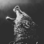 Aaron Scheidt - Facebook