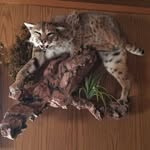 Aaron Schmucker - @aaron.schmucker.779 - Instagram