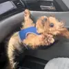Aaronschora19 - @aaronschora19 - TikTok