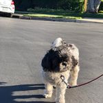 Aaron Schott - @schottaaron - Instagram