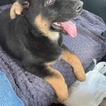 Aaron Schreckengost - @schreck1 - Instagram