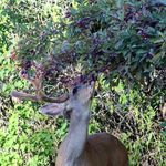 Aaron Schroeder - @aaron.schroeder.35 - Instagram