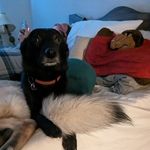 Aaron Schroyer - @mr.whiskers41 - Instagram