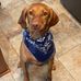 Aaron Schueller - Facebook