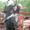Aaron Schulze - @aaronschulze1 - TikTok