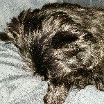 aaron.schulze - @aaron.schulze1 - Instagram